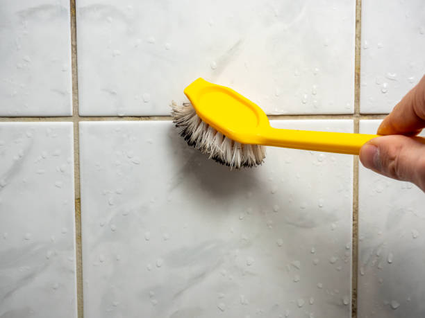 Best Industrial Mold Remediation in Daly City, CA